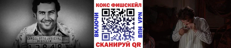 КОКАИН Fish Scale  Купить  Дмитриев 