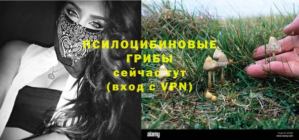 соль ск Кинешма