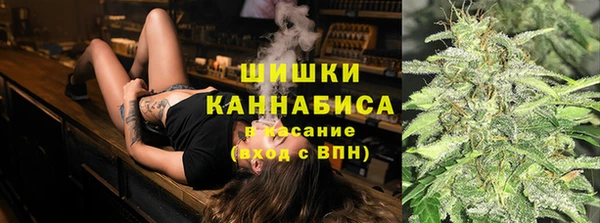 ПСИЛОЦИБИНОВЫЕ ГРИБЫ Карталы