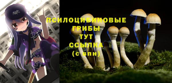соль ск Кинешма