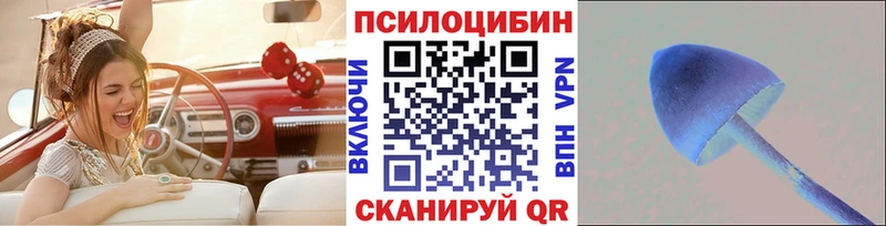 Псилоцибиновые грибы Psilocybe  Купить  Дмитриев 