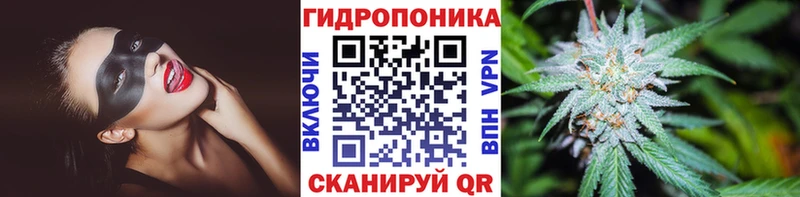 Бошки Шишки конопля Дмитриев